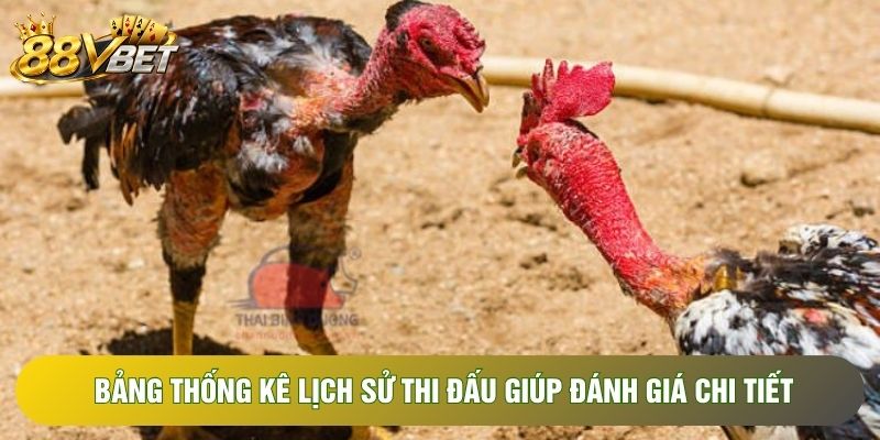 Bảng thống kê lịch sử thi đấu giúp đánh giá chi tiết Bảng thống kê lịch sử thi đấu giúp đánh giá chi tiết