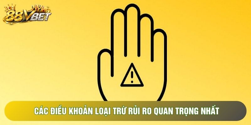 Các điều khoản loại trừ rủi ro quan trọng nhất