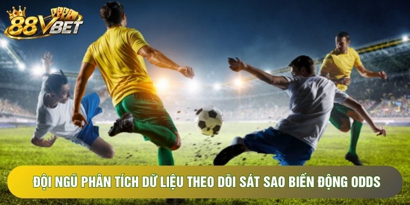 Đội ngũ phân tích dữ liệu theo dõi sát sao biến động odds