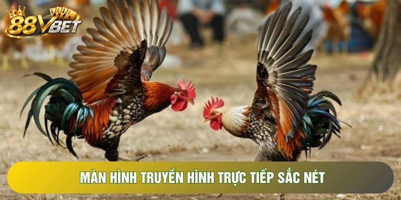 Màn hình truyền hình trực tiếp sắc nét