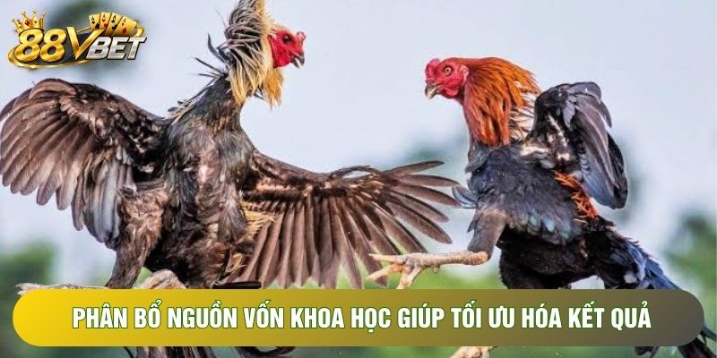 Phân bổ nguồn vốn khoa học giúp tối ưu hóa kết quả Phân bổ nguồn vốn khoa học giúp tối ưu hóa kết quả