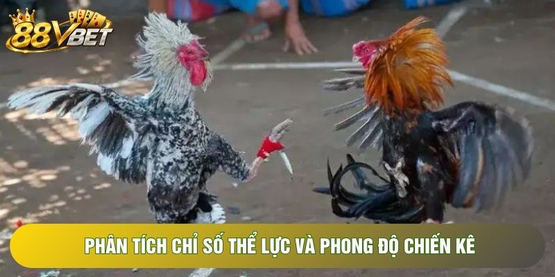 Phân tích chỉ số thể lực và phong độ chiến kê