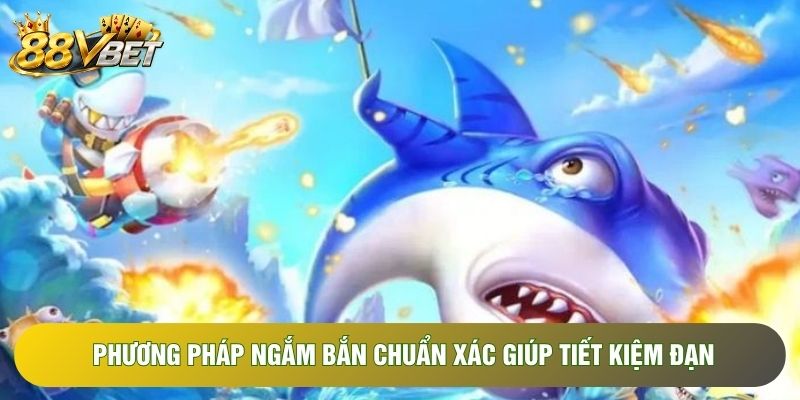 Phương pháp ngắm bắn chuẩn xác giúp tiết kiệm đạn