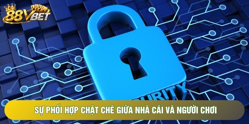 Sự phối hợp chặt chẽ giữa nhà cái và người chơi